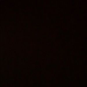 Meet your Posher, Bruce